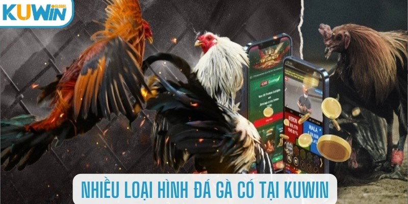 nhiều loại hình đá gà có tại kuwin