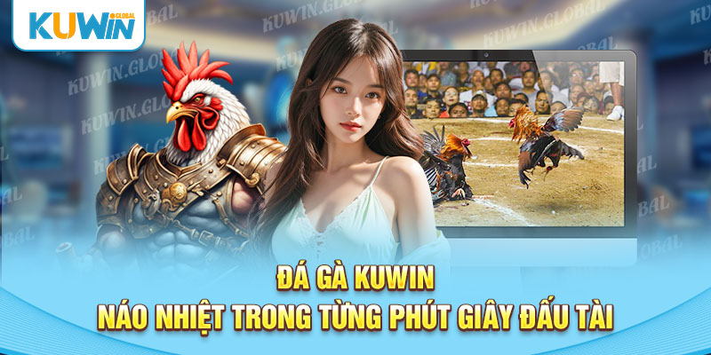 Tổng quan đá gà Kuwin