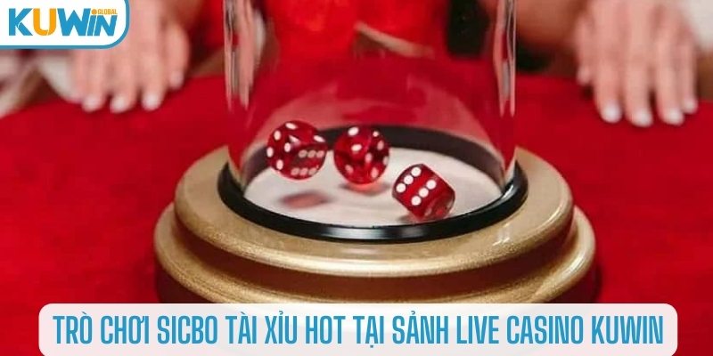 Trò chơi tài xỉu hot tại sảnh live casino Kuwin